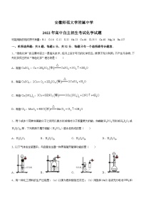 安徽师范大学附属中学2022-2023学年高一上学期自主招生考试化学试题含答案