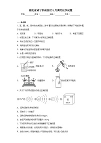 湖北省咸宁市咸安区5月调考化学试题（含解析）