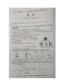 2023湖南省“一起考”大联考高三下学期5月模拟考试化学图片版含解析