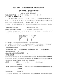 上海市闵行中学2022-2023学年高二下学期期末（等级）考试化学试题