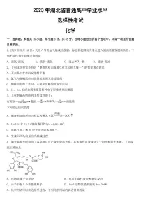 2023年高考湖北卷化学试卷【附真题答案】