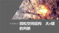 2024年高考化学一轮复习(新高考版) 第6章 热点强化14 微粒空间结构 大π键的判断