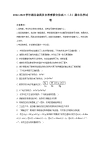 2022-2023学年湖北省武汉市常青联合体高二（上）期末化学试卷（含解析）
