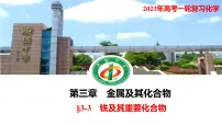 2023年高考化学一轮复习铁及其重要化合物课件