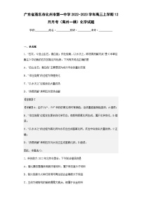 2022-2023学年广东省茂名市化州市第一中学高三上学期12月月考（高州一模）化学试题含解析