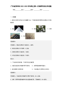 2022-2023学年广东省深圳市高三第一次调研考试化学试题含解析