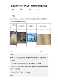 2023届陕西省榆林市高三第一次模拟理科综合化学试题含解析