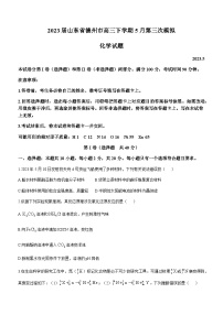 2023届山东省德州市高三下学期5月第三次模拟（三模）化学试题含答案