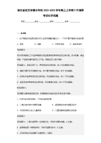 2022-2023学年湖北省武汉市部分学校高三上学期9月调研考试化学试题含解析