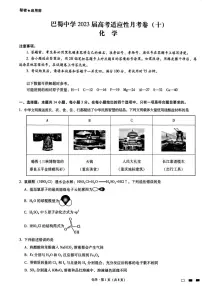 重庆巴蜀中学2023届高考适应性月考卷(十)化学试卷