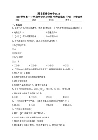 湖北省普通高中2022-2023学年高一下学期学业水平合格性考试模拟(六)化学试卷(含答案)
