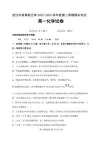 湖北省武汉市常青联合体2022-2023学年高一下学期期末化学试卷（PDF版含答案）