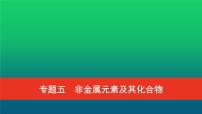 普通高中化学学业水平合格性考试复习专题五非金属元素及其化合物课件