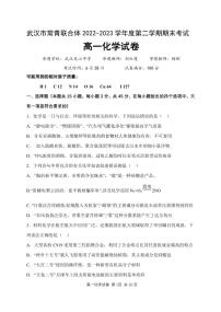 湖北省武汉市常青联合体2022-2023学年高一下学期期末化学
