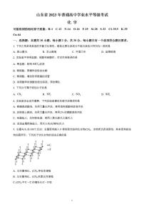 2023年高考真题——化学(山东卷)含答案