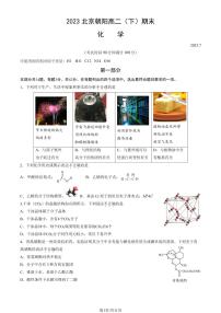 2022-2023学年北京朝阳区高二下学期期末化学试题及答案