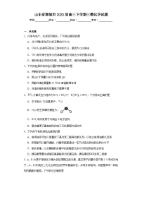 山东省聊城市2023届高三下学期三模化学试题（含解析）