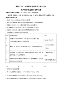 安徽省铜陵市2023届高三下学期5月模拟考试化学试题 Word版含解析