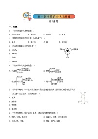 高中化学人教版 (2019)必修 第一册第一节 物质的分类及转化优秀练习