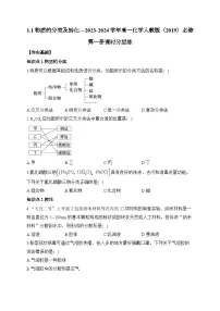 高中化学人教版 (2019)必修 第一册第一章 物质及其变化第一节 物质的分类及转化同步训练题