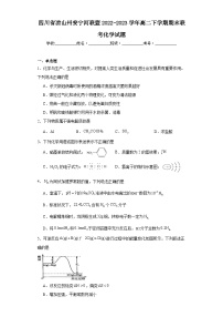 四川省凉山州安宁河联盟2022-2023学年高二下学期期末联考化学试题（原卷版 含解析）