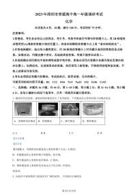 广东省深圳市2022-2023学年高一下学期期末统考化学试题（解析版）