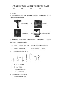 广东省梅州市大埔县2023届高三下学期三模化学试题（含解析）