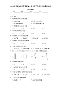 2023年天津市河北区普通高中学业水平合格性考试模拟练习化学试题（含解析）