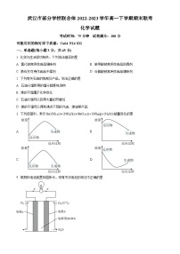 湖北省武汉市部分学校联合体2022-2023学年高一下学期期末联考化学试题（原卷版+解析版）