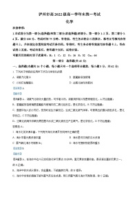 四川省泸州市2022-2023学年高一下学期期末测试化学试题（解析版）