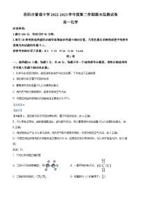 贵州省贵阳市普通中学2022-2023学年高一下学期期末考试化学试题（解析版）