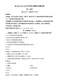 四川省凉山州2022-2023学年高一下学期7月期末考试化学试题（解析版）