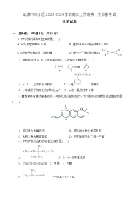 甘肃省武威市凉州区2023-2024学年高三上学期第一次诊断考试化学试题（Word版含答案）