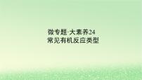 2024版新教材高考化学全程一轮总复习第九章有机化学基础微专题大素养24常见有机反应类型课件