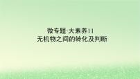 2024版新教材高考化学全程一轮总复习第四章非金属及其化合物微专题大素养11无机物之间的转化及判断课件