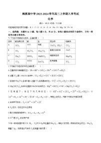 湖南省长沙市岳麓区长郡梅溪湖中学2023-2024学年高二上学期入学考试化学试题（Word版无答案）