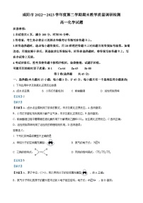 陕西省咸阳市2022-2023学年高一化学下学期期末试题（Word版附解析）