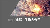 2024年高考化学一轮复习课件（鲁科版）第9章 第59讲　油脂　生物大分子