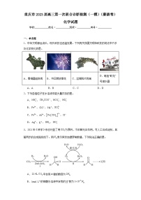 重庆市2023届高三第一次联合诊断检测（一模）（康德卷）化学试题（含解析）