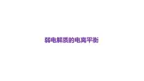 2024届高三化学高考备考一轮复习专题：弱电解质的电离平衡课件