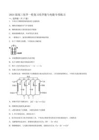 2024届高三化学一轮复习 化学能与电能专项练习（含答案）