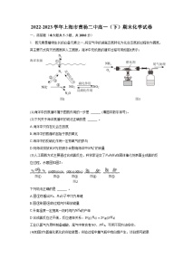 2022-2023学年上海市曹杨二中高一（下）期末化学试卷（含解析）