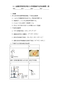 高中化学沪科技版（2020）必修第二册5.1金属的性质课堂检测