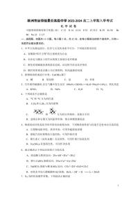 湖南省株洲市远恒佳景炎高级中学2023-2024学年高二上学期入学考试化学试题