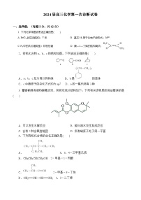 2024武威凉州区高三上学期第一次诊断检测化学试题含答案