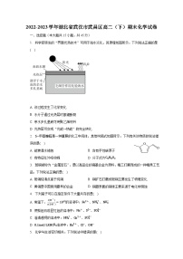 2022-2023学年湖北省武汉市武昌区高二（下）期末化学试卷（含解析）