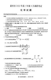 湖北省黄冈市2023-2024学年高三上学期9月调研考试化学试题
