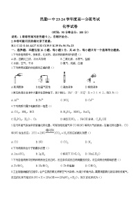 甘肃省武威市民勤县第一中学2023-2024学年高一上学期入学考试化学试题（含答案）