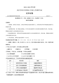 2024武汉部分学校高三上学期9月调研考试化学试卷含答案