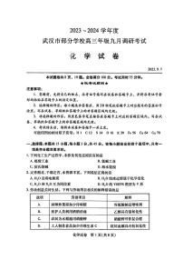 湖北省武汉市部分学校2023-2024学年高三上学期9月调研考试化学试题 PDF版